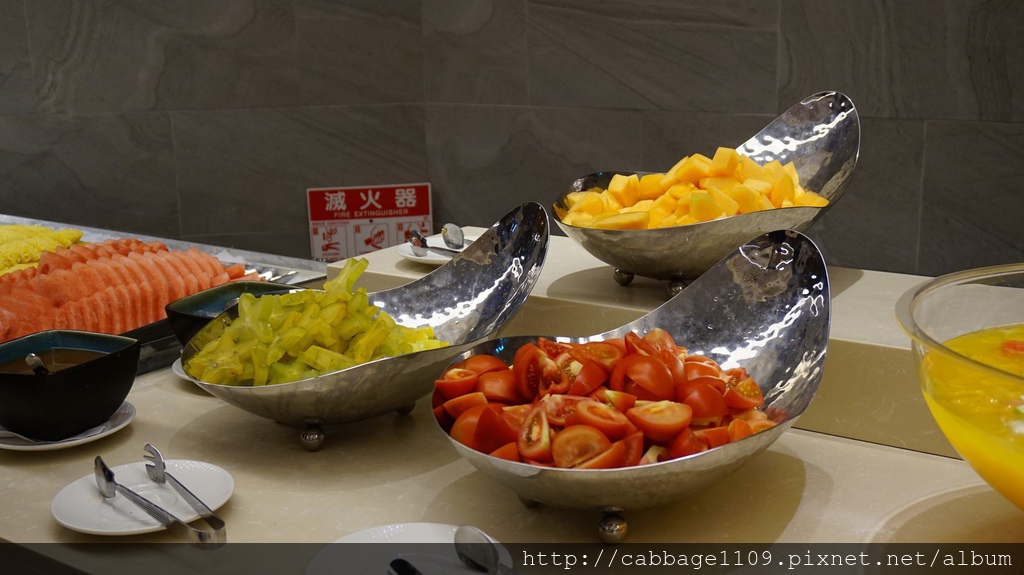 DSC05011 (複製).JPG