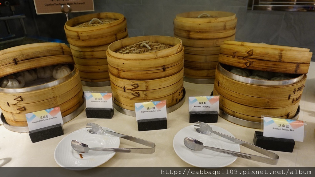 DSC05100 (複製).JPG