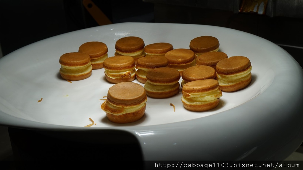 DSC05057 (複製).JPG