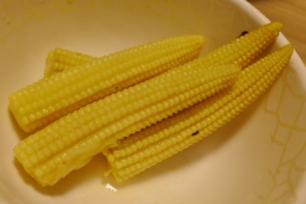 石頭公 石頭火鍋:口碑27-高CP質平價好美味之石頭公石頭火鍋