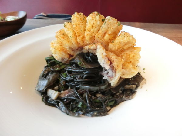 2016-02-05 14.20.36.jpg