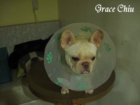 可可芭蕾:可可芭蕾~豐富的板烤總匯&咬開小心燙口的熱夾心吐司(捷運雙連站周邊)