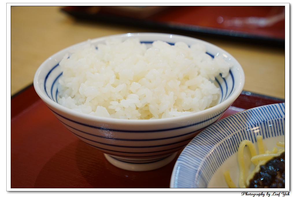 葉影瓶像版權所有