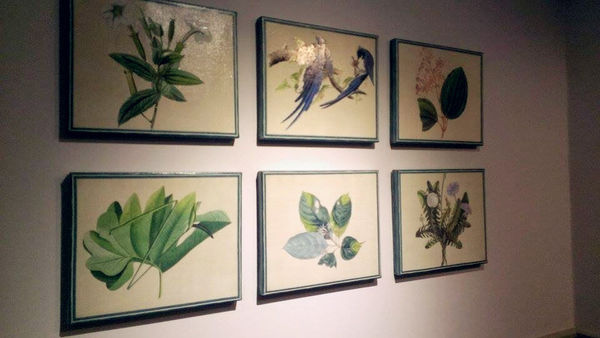 10807084_10152470102246762_1752286660_n_副本