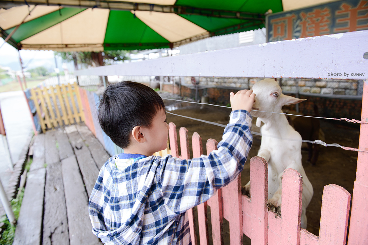 可達羊場:【宜蘭|可達羊場】溜小孩殺時間好去處