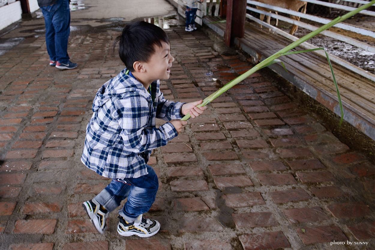 可達羊場:【宜蘭|可達羊場】溜小孩殺時間好去處