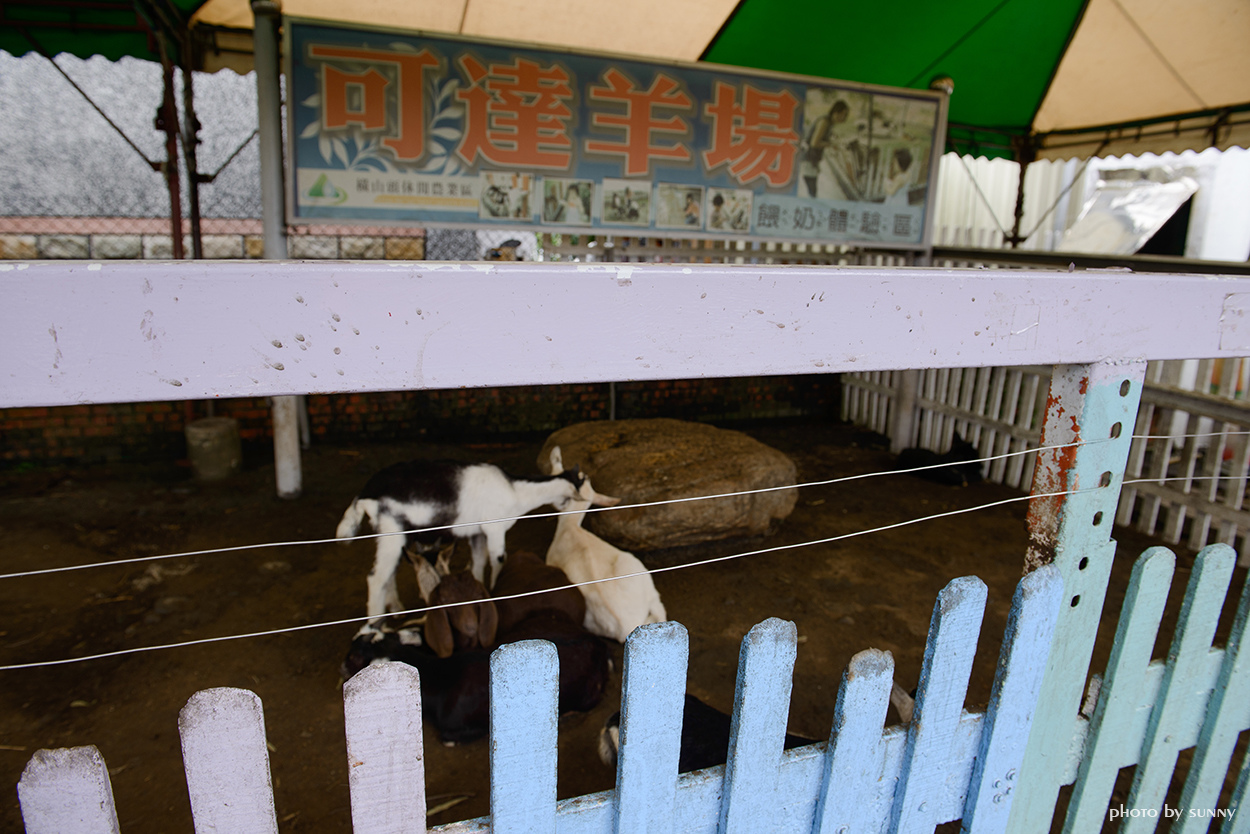 可達羊場:【宜蘭|可達羊場】溜小孩殺時間好去處