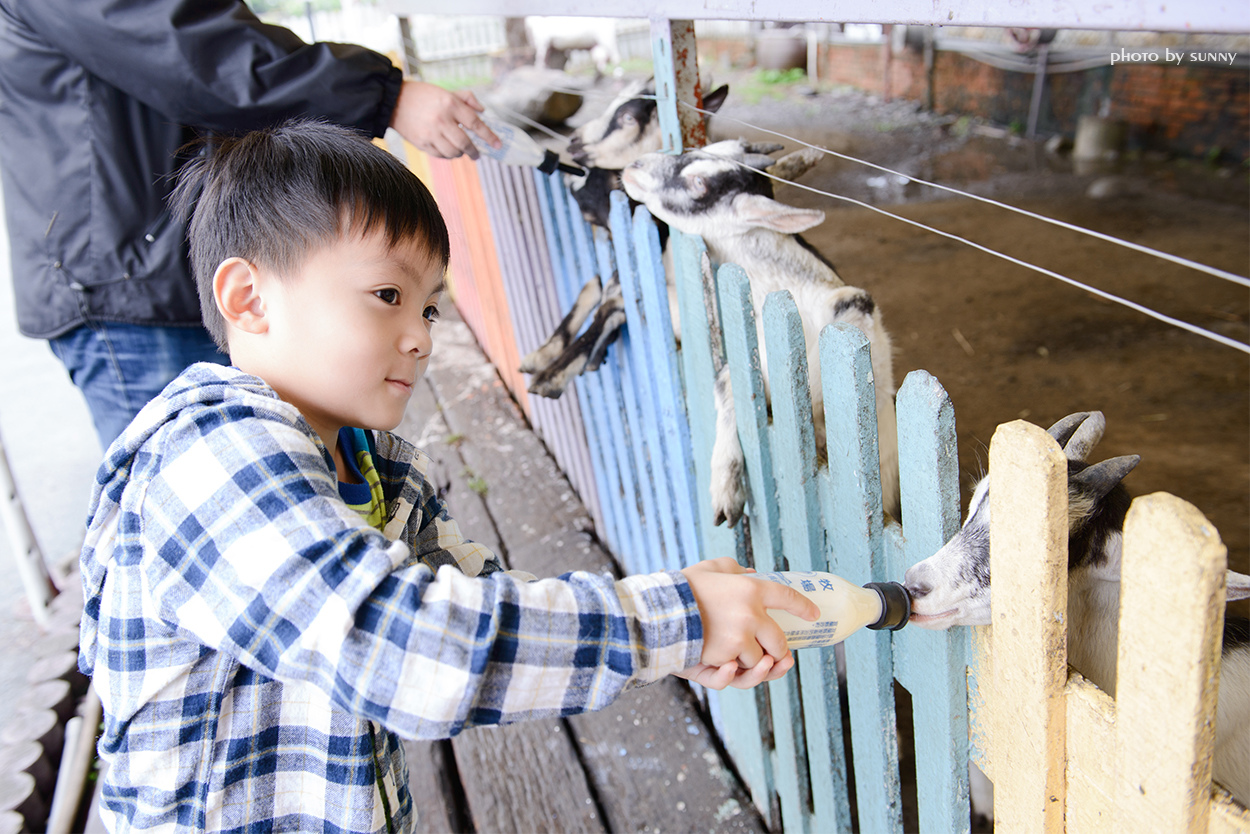 可達羊場:【宜蘭|可達羊場】溜小孩殺時間好去處