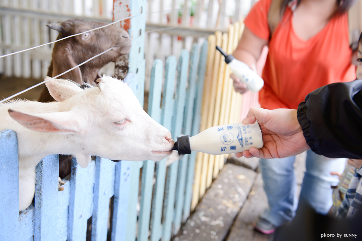 可達羊場:【宜蘭|可達羊場】溜小孩殺時間好去處