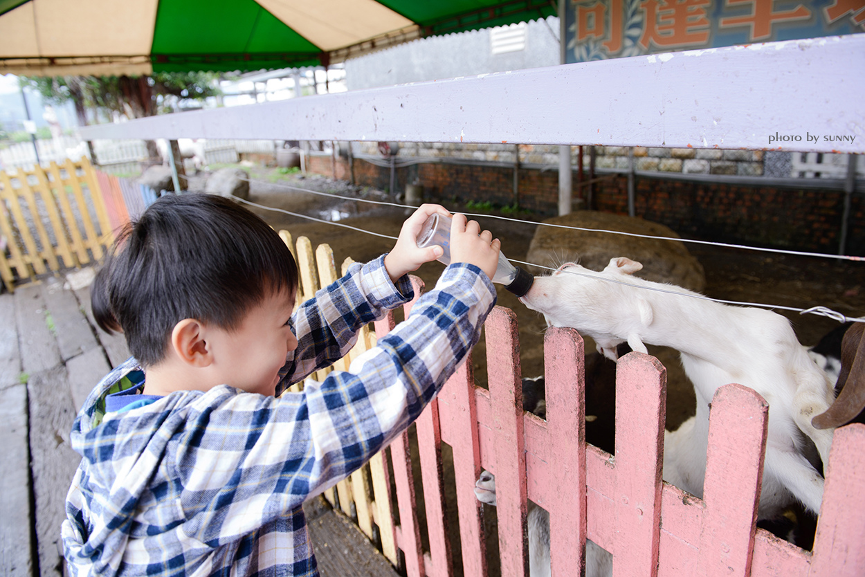 可達羊場:【宜蘭|可達羊場】溜小孩殺時間好去處