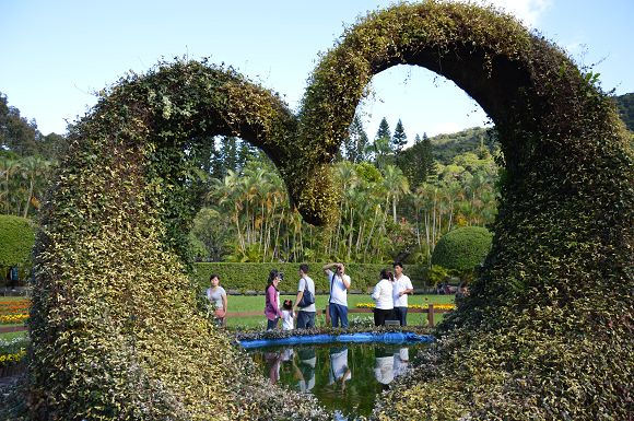 士林官邸菊花展29