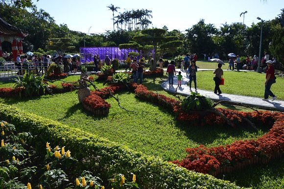 士林官邸菊花展35