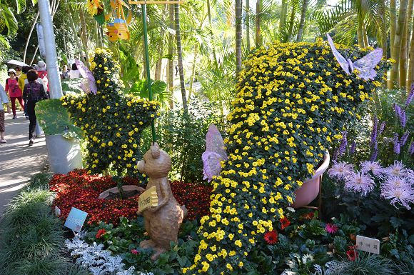 士林官邸菊花展20