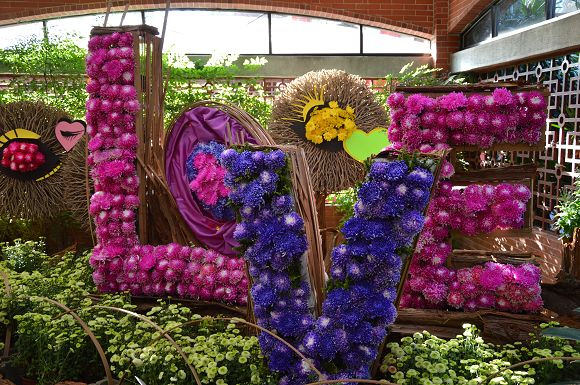 士林官邸菊花展50