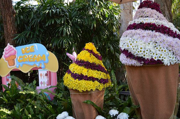 士林官邸菊花展21