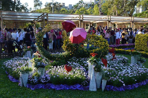 士林官邸菊花展65