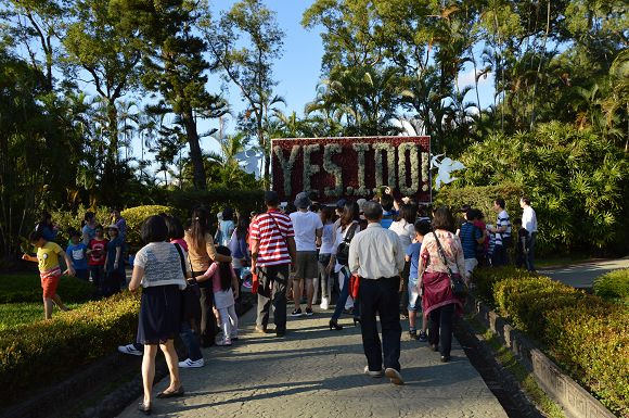 士林官邸菊花展59