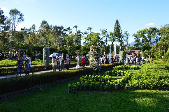 士林官邸菊花展57