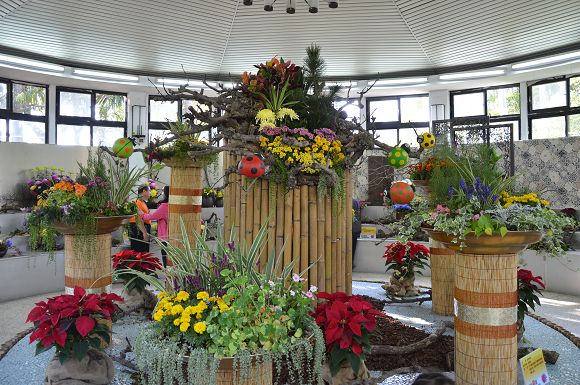 士林官邸菊花展48