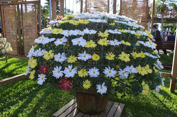 士林官邸菊花展62