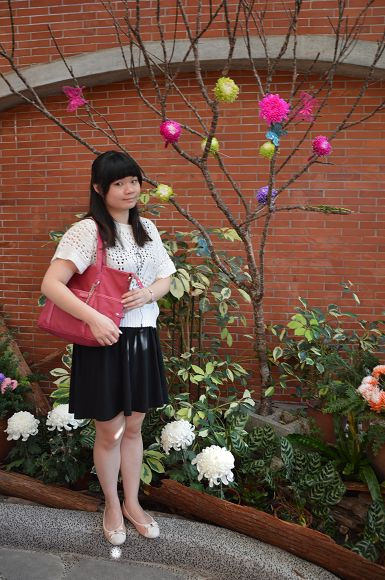 士林官邸菊花展51