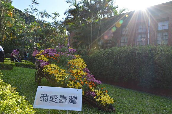 士林官邸菊花展42