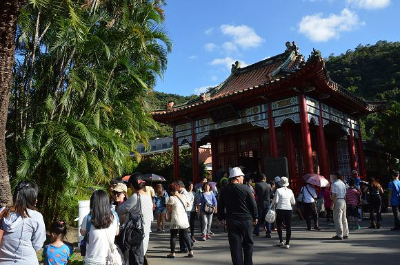 士林官邸菊花展44