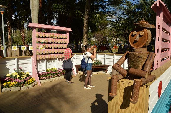 士林官邸菊花展07