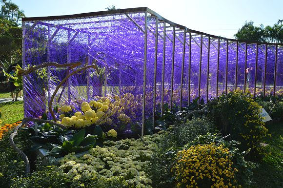 士林官邸菊花展39