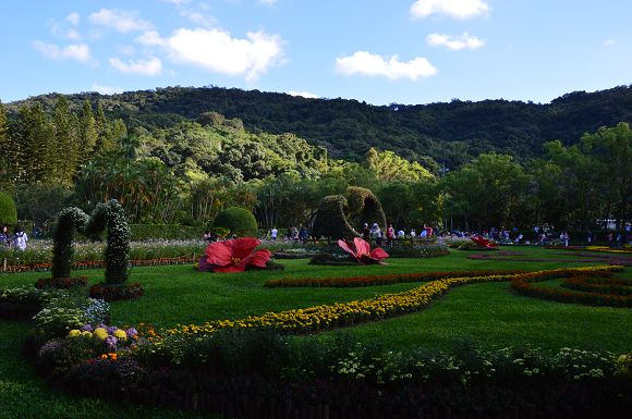 士林官邸菊花展27