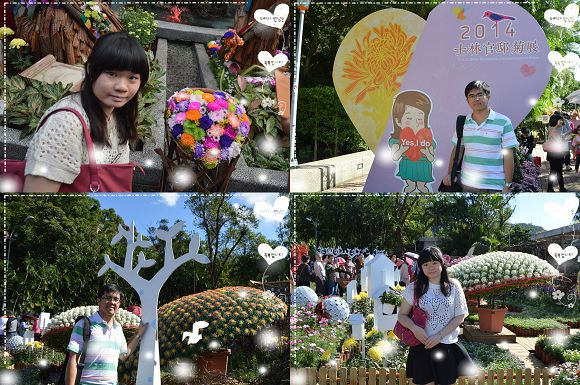 士林官邸菊花展70