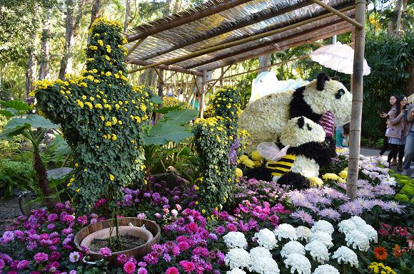 士林官邸菊花展22