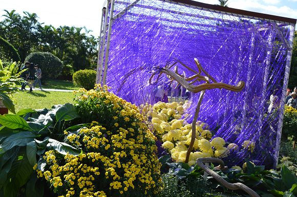 士林官邸菊花展36