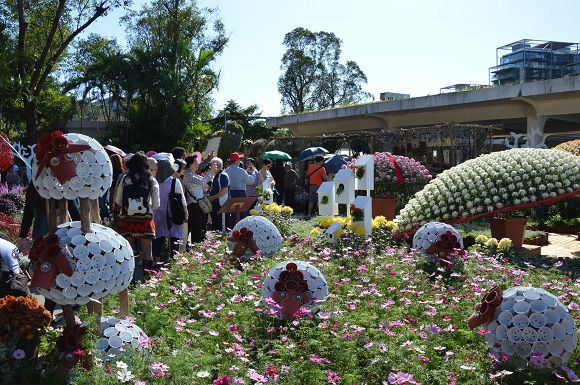 士林官邸菊花展09