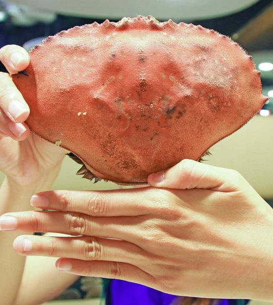 【台北餐廳】台北凱撒大飯店-Checkers巴西烤肉美食吃到飽