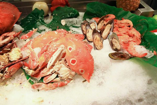 【台北餐廳】台北凱撒大飯店-Checkers巴西烤肉美食吃到飽