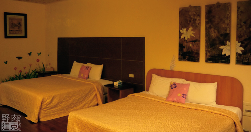 小雨蛙 有機 農場 民宿 蓮花茶 生態導覽 花蓮 壽豐鄉