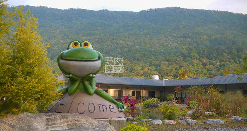 小雨蛙 有機 農場 民宿 蓮花茶 生態導覽 花蓮 壽豐鄉