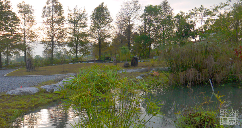 小雨蛙 有機 農場 民宿 蓮花茶 生態導覽 花蓮 壽豐鄉