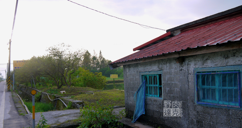 小雨蛙 有機 農場 民宿 蓮花茶 生態導覽 花蓮 壽豐鄉