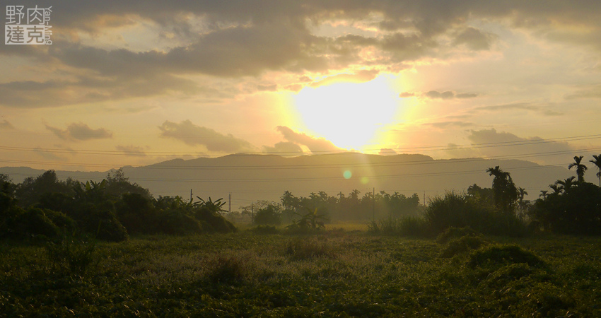 小雨蛙 有機 農場 民宿 蓮花茶 生態導覽 花蓮 壽豐鄉
