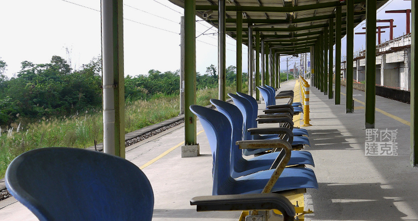小雨蛙 有機 農場 民宿 蓮花茶 生態導覽 花蓮 壽豐鄉
