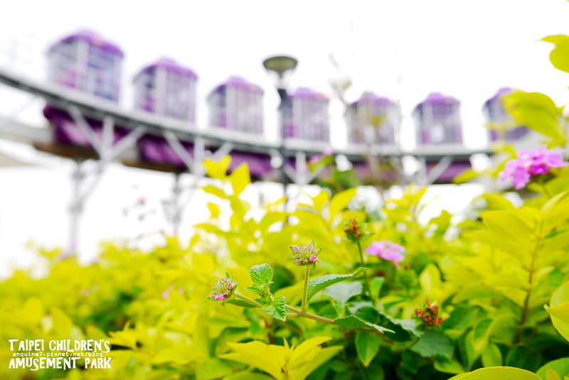 廖西瓜＠台北市立兒童新樂園44