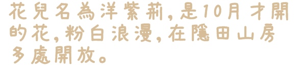 隱田山房・白色教堂