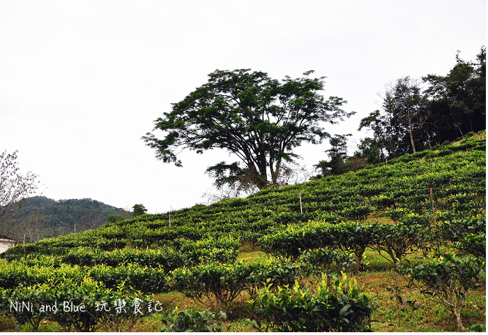 日月潭老紅茶廠01.jpg