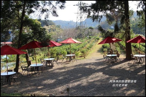 日月老茶廠10.JPG