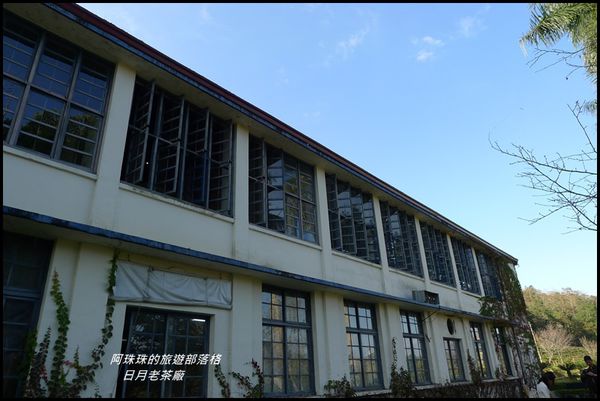 日月老茶廠33.JPG