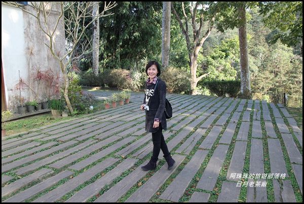 日月老茶廠4.JPG