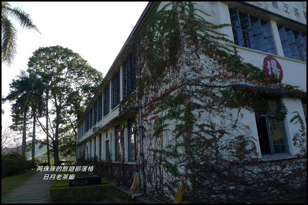 日月老茶廠14.JPG