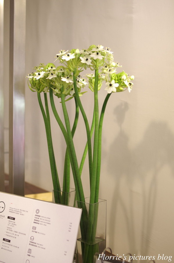 wunique patisserie:台北大安區美食~WUnique Pâtisserie 無二烘焙工作室~風格細膩的法式甜點,喚起心中的甜美滋味